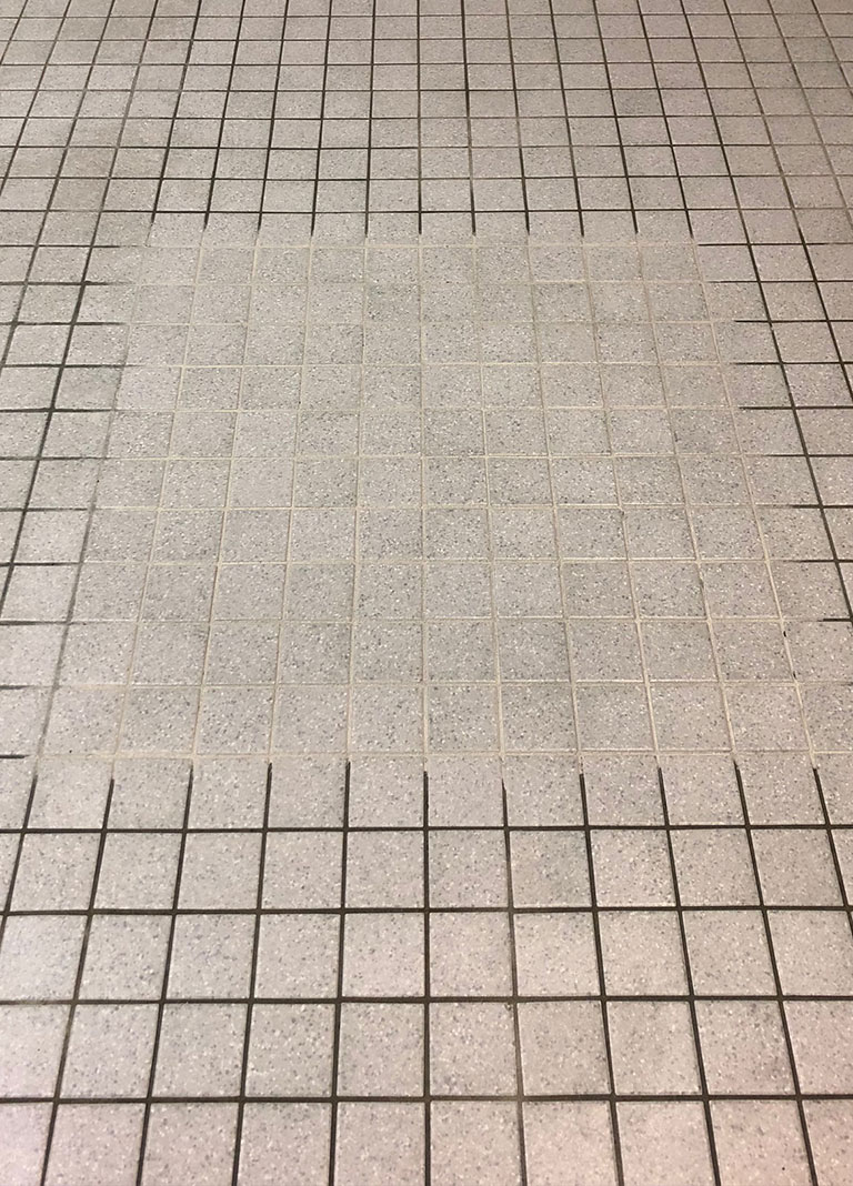 Tile Cleaning and Floor Maintenance